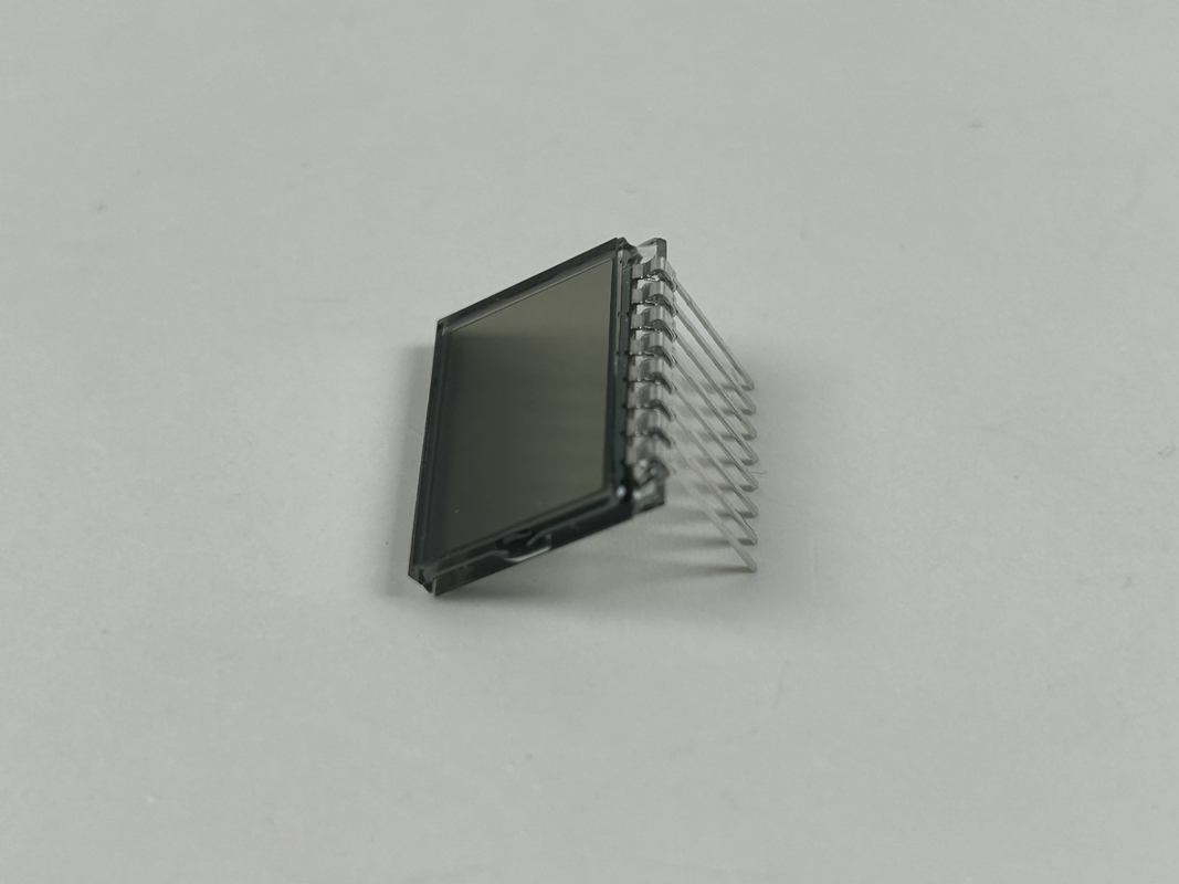 3.0 V Affichage LCD TN Prositif Segment d'écran de code Collier d'entraînement de chien personnalisable