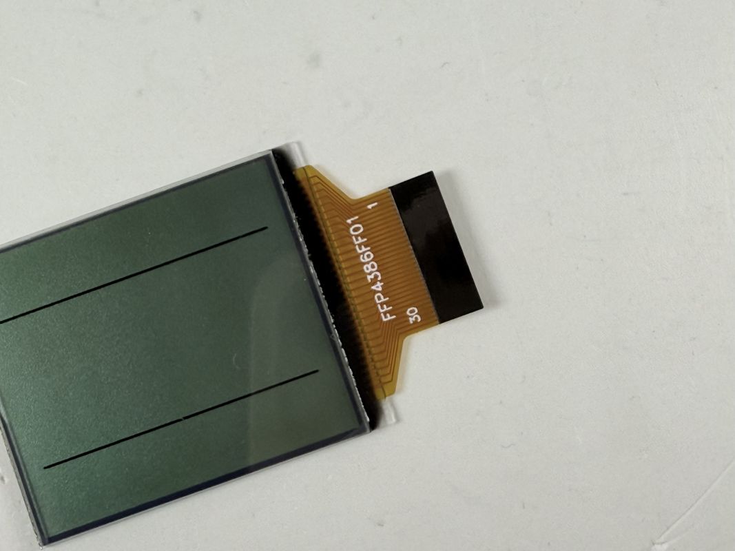 Affichage LCD noir et blanc personnalisé FSTN | LCD du segment monochrome pour les applications industrielles et électroniques